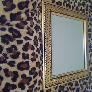 Gold Rimmed Mirror
